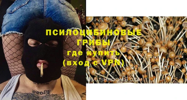 mdpv Баксан